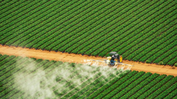 Pest Control Cost in Mendon, IL